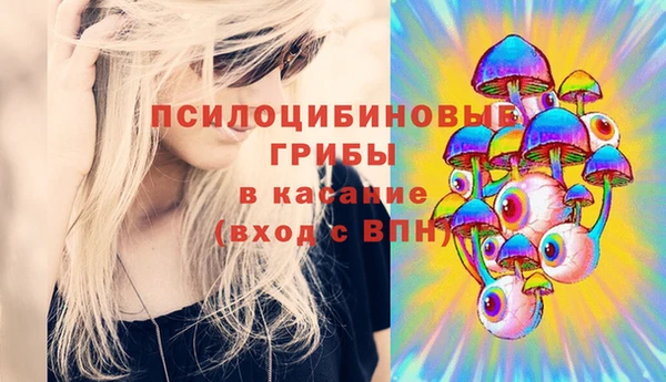 прущая мука Кинешма