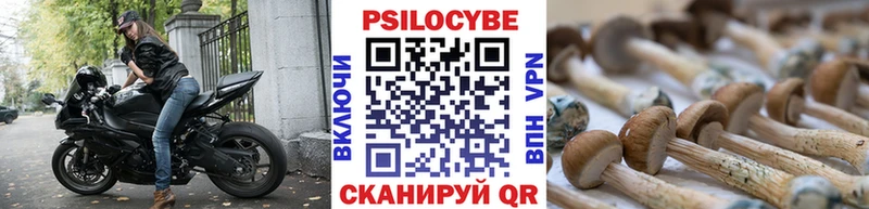 Купить  Благодарный  Галлюциногенные грибы GOLDEN TEACHER 